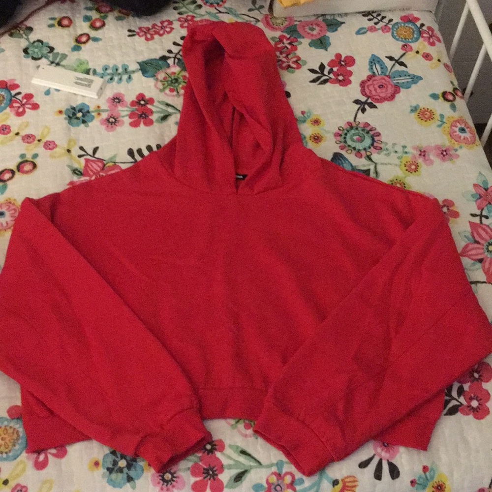 Fashion Nova Cropped Hoodie